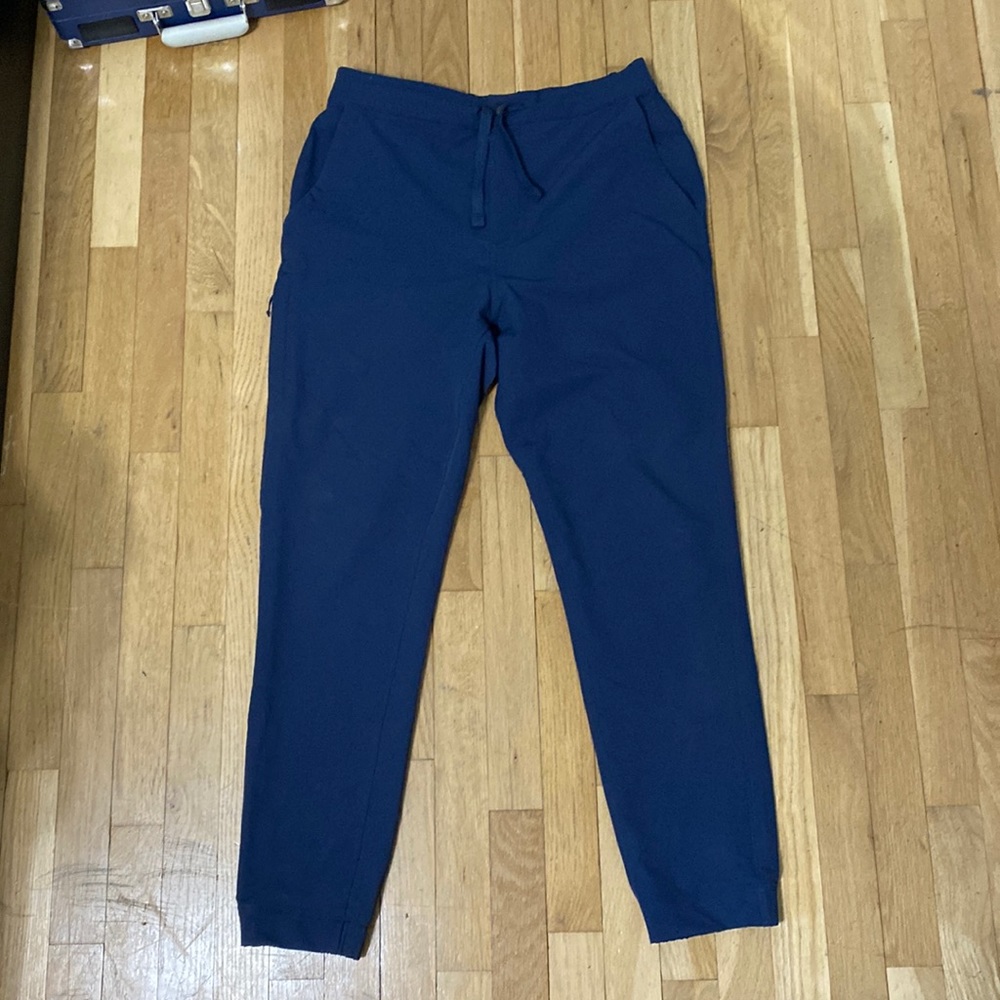 Patagonia Mens skyline traveler pants